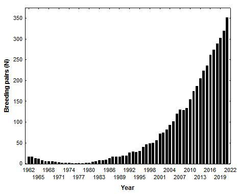 Graph illustrating the history of the bald eagle breeding population along the James River since 1962.