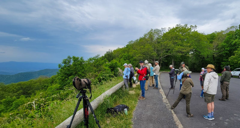 Group of visitors assembled in the Franklin Cliffs overlook to hear about peregrine falcons