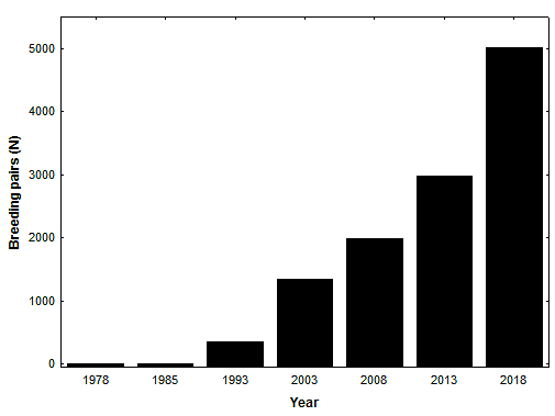 Growth of the Virginia double-crested cormorant population in Virginia