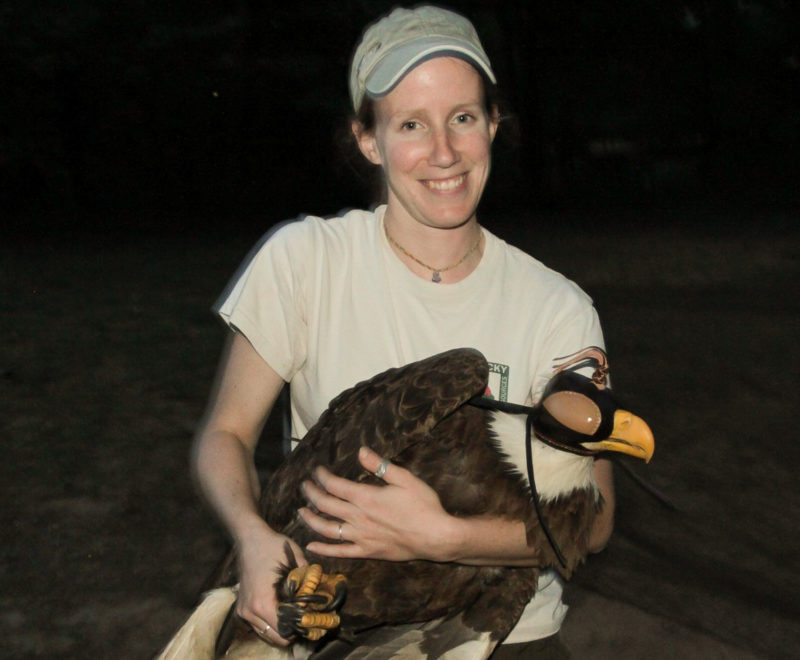 Kate Slankard holds the adult male bald eagle that was tracked in Kentucky