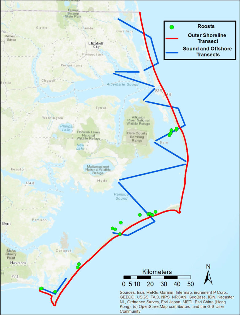 Map of aerial transects within the sounds and near shore waters of coastal North Carolina