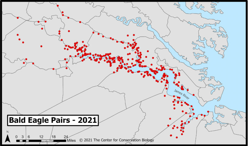 Map of current (2021) occupied territories of bald eagles along the James River.