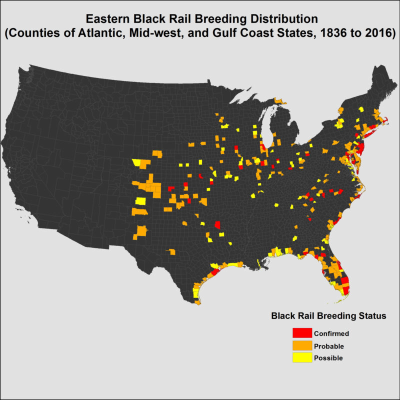 Map of eastern black rails by county from 1836 to 2016.