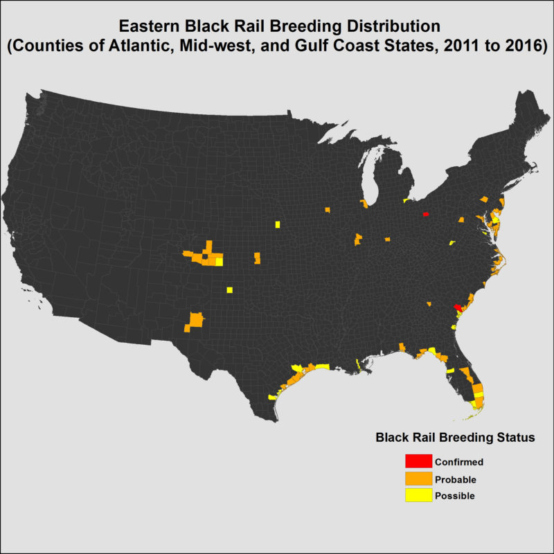 Map of eastern black rails by county from 2011 to 2016.