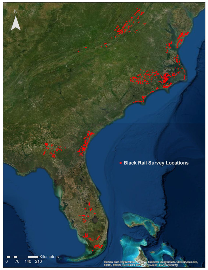 Map of point locations established by CCB for surveys of black rails