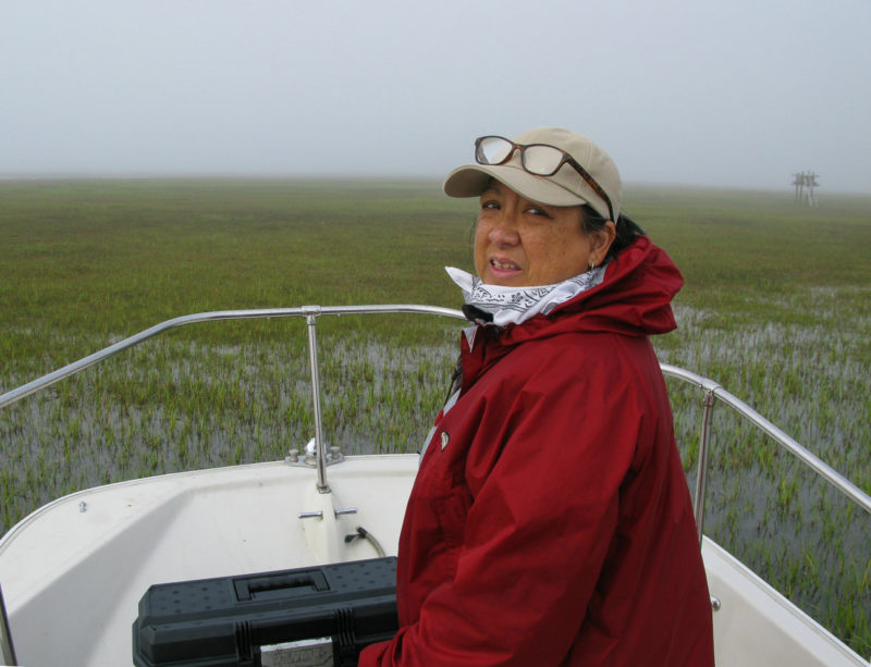 Marian Watts on a foggy spring morning as we arrive on Gull Marsh