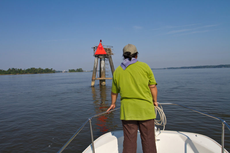Marian during an osprey survey on the upper James River.