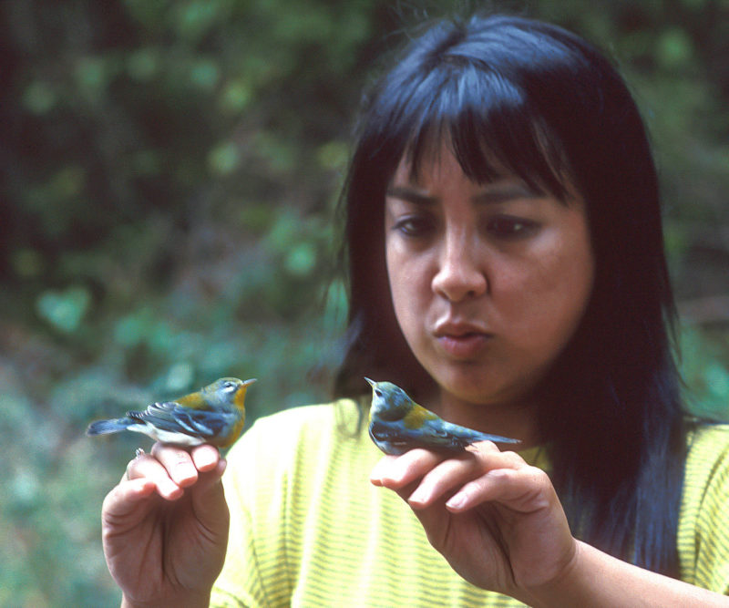 Marian with twin parula warblers