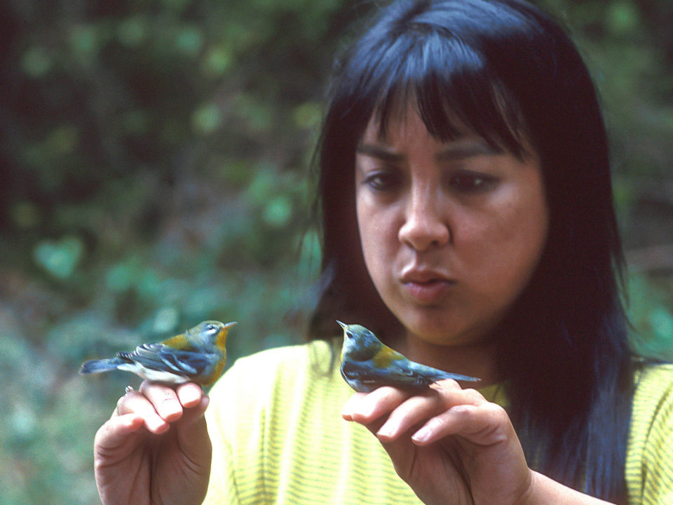 Marian with twin parula warblers