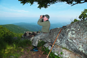 Mitchell Byrd watching peregrine falcons on the wing that had been hacked on Hogback Mountain in Shenandoah National Park. On 21 January 2023, The Center will host a gathering of Mitchell’s past graduate students and friends. On the agenda is just an opportunity to visit with Mitchell and catch up with each other. Photo by Bryan Watts.