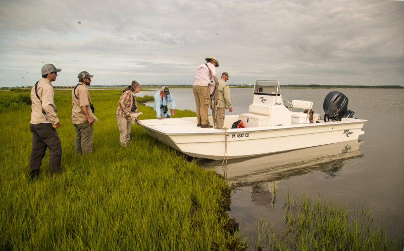 Mixed CCB and VDWR crew returns to boat on Chincoteague Bay