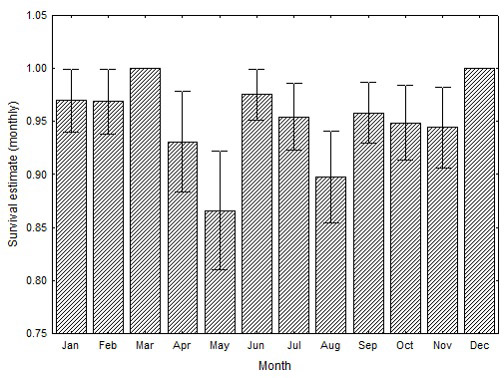 Monthly Kaplan-Meier survival estimates for whimbrels tracked with satellite transmitters throughout the Western Atlantic Flyway