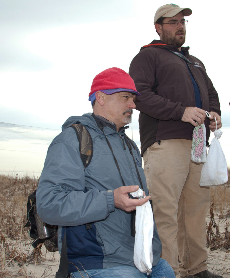 Ned and Zak Poulton hold Ipswich sparrows for processing out on Metomkin Island