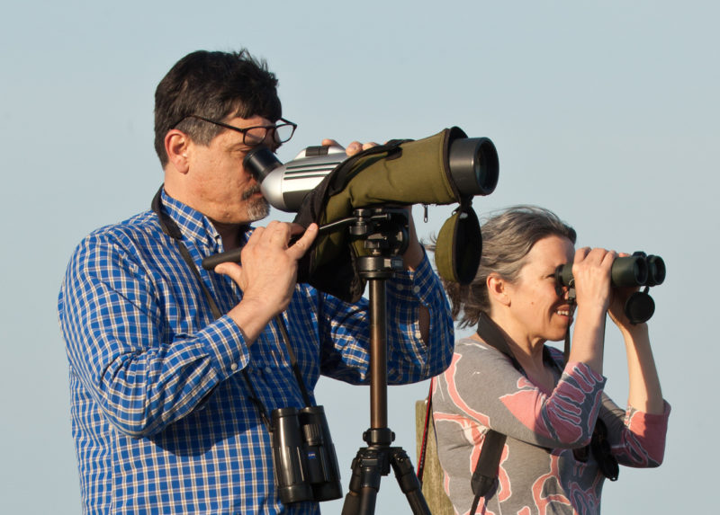 Ned and great friend Roberta Kellam look south from Boxtree Dock for flocks of whimbrels