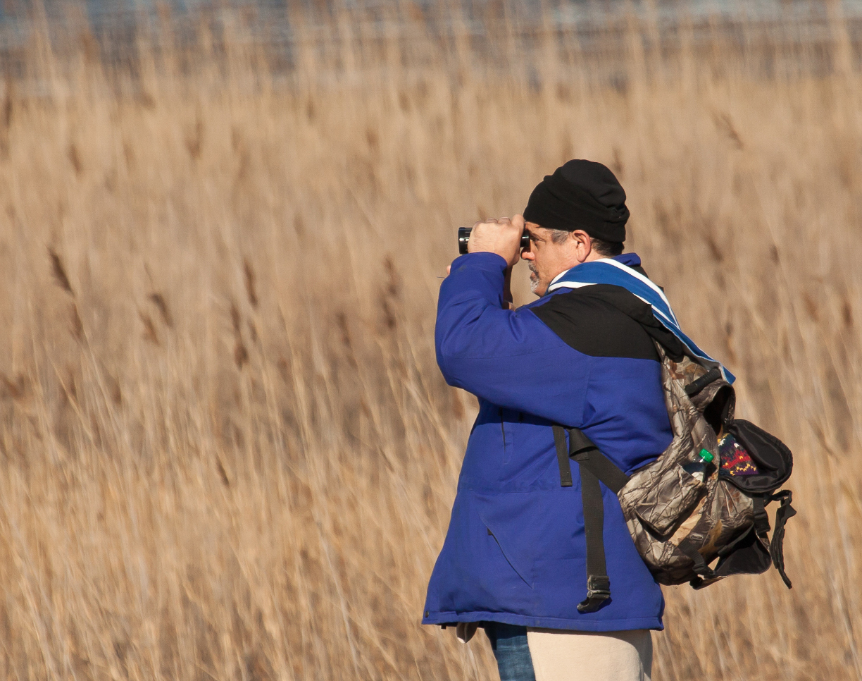Ned helping on a winter survey on the Virginia Barrier Islands.