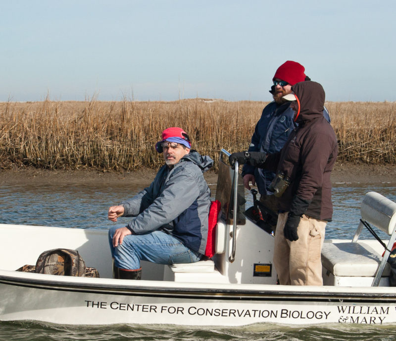 Ned on CCB boat with Fletcher Smith and Todd Day heading out to Metomkin Island