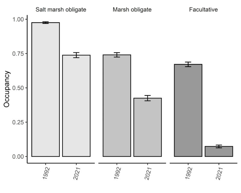Occupancy for groups of marsh-nesting birds during the initial survey of western shore marshes in 1992