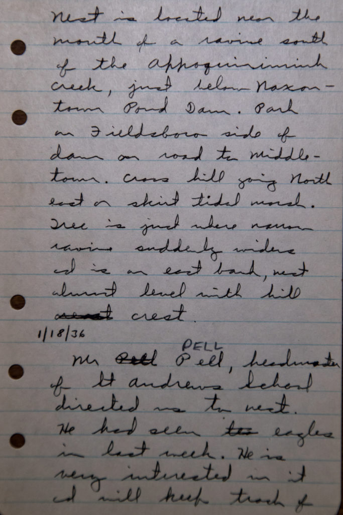 One page from the field notebook of Bryant Tyrell from his historic 1936 survey of bald eagles