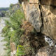 Peregrine brood looks out over the Luckstone quarry in Ashburn, Virginia