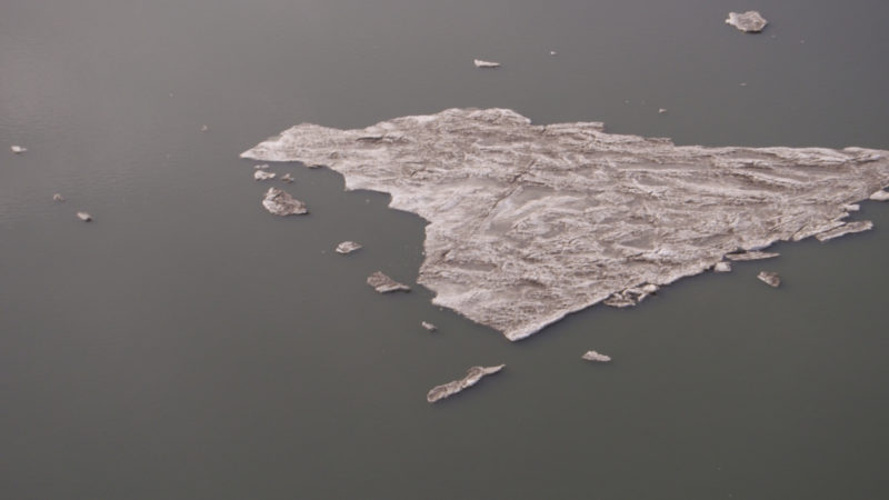 Photograph of a small marsh island completely frozen