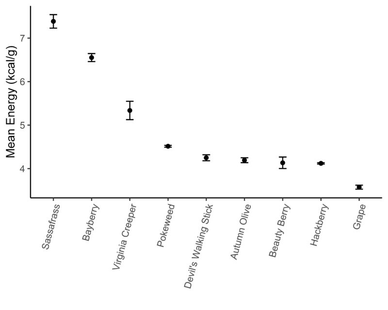 Plot of energy density for ripe fruits