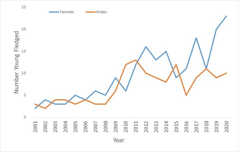 line graph of male and female woodpeckers in VA