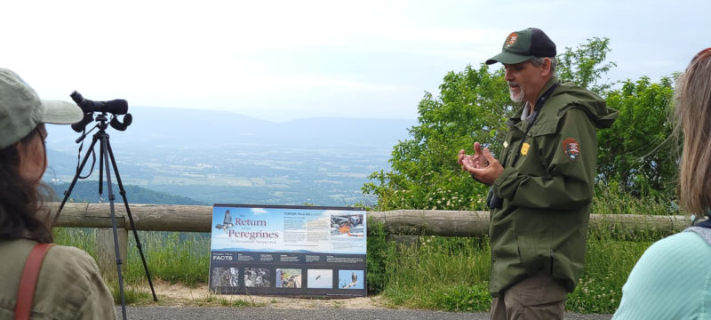 Rolf Gubler talks to visitors during a falcon release on Franklin Cliffs.