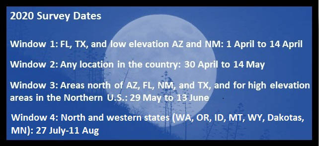 Survey windows for the 2020 US Nightjar Survey