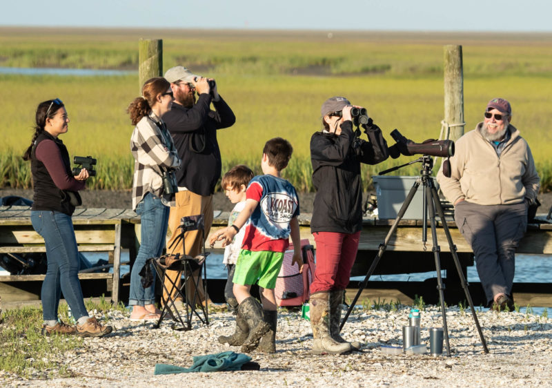 WhimbrelWatch crew
