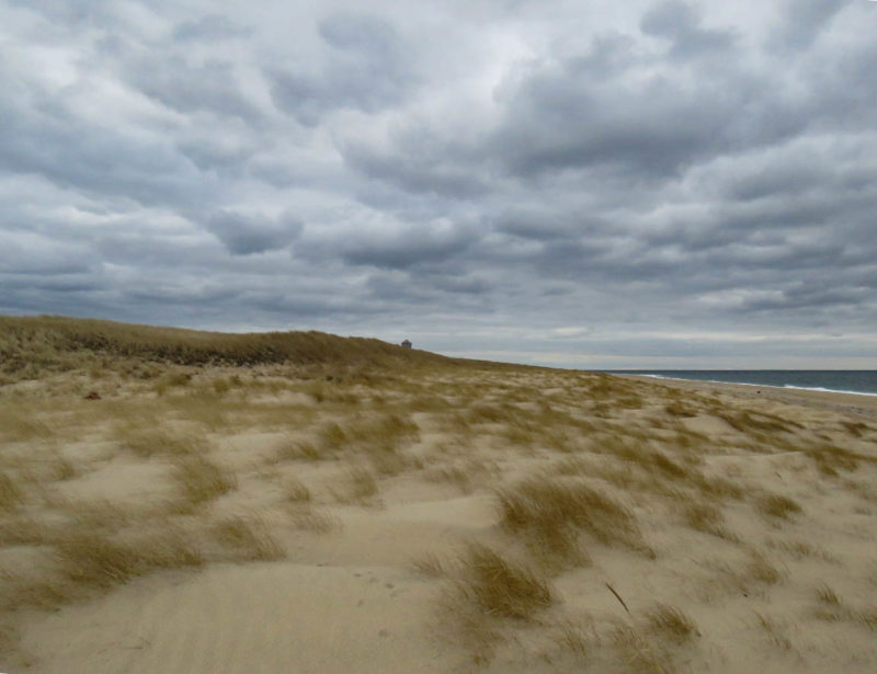 Wind swept dunes of Cape Cod, Massachusetts