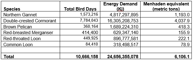 bird days, energetic demand and menhaden equivalents table